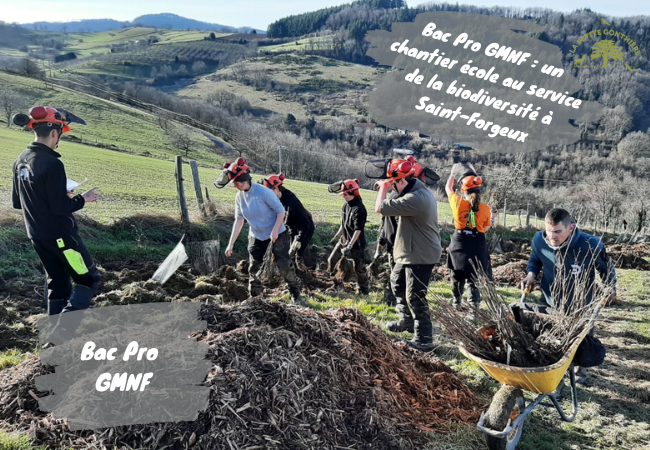 Chantier école GMNF mené par la MFR de Anse en partenariat avec la Fédération des Chasseurs du Rhône pour la biodiversité.